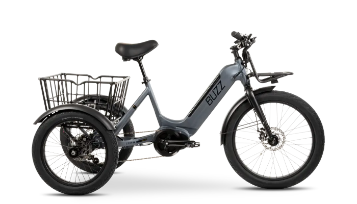 Buzz Cerana T2 eTrike